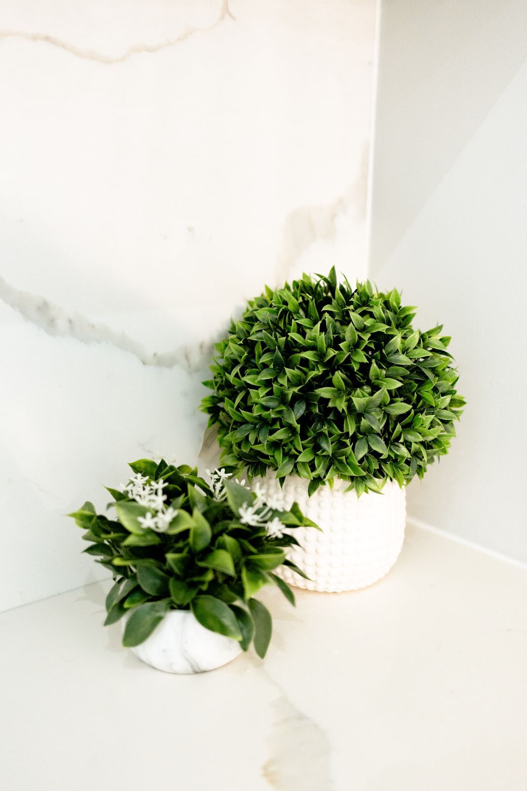 Boxwood Ball