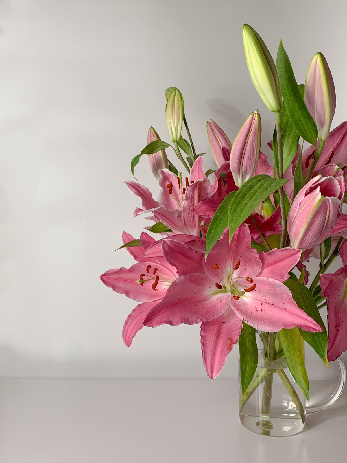 Lily Light