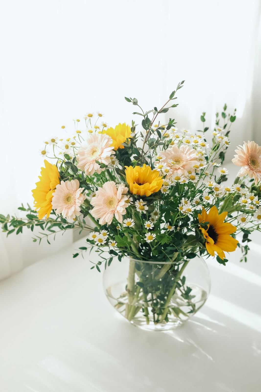 Meadow Bunch