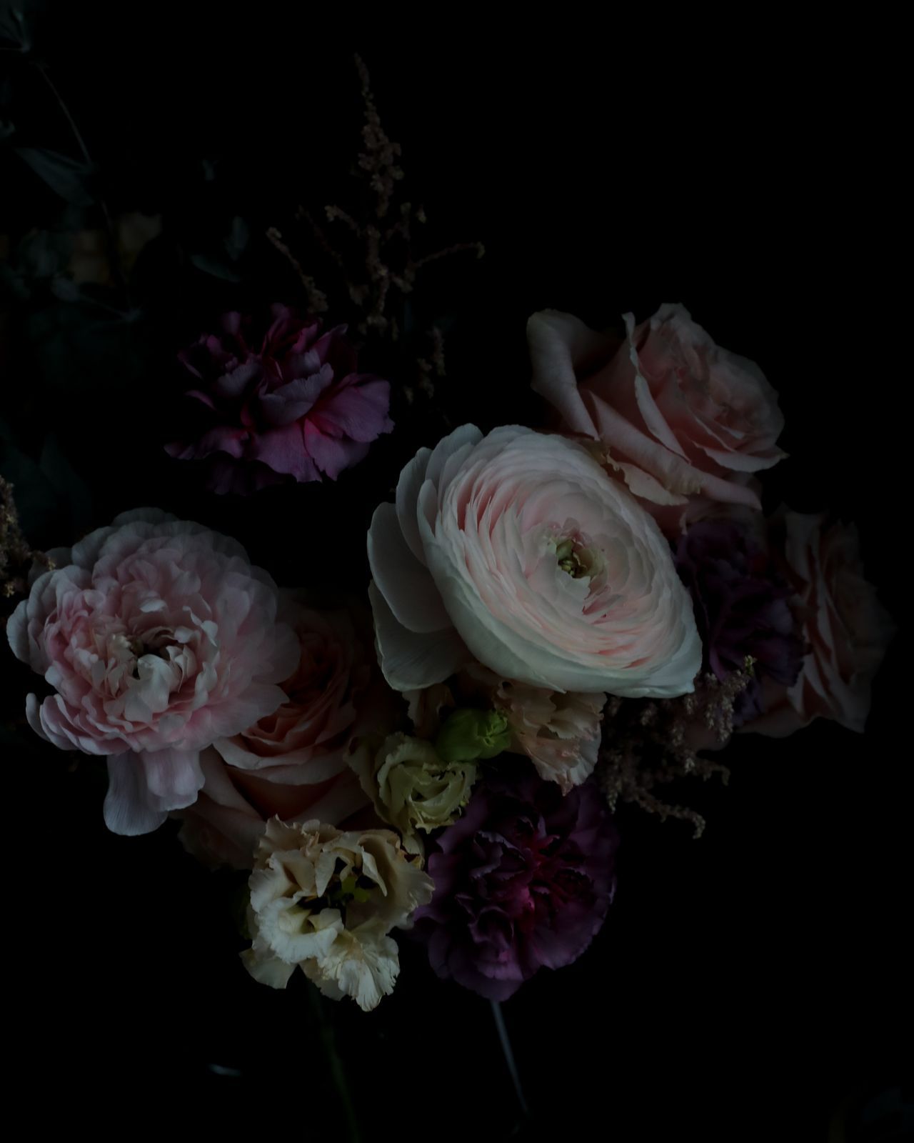 Night Garden