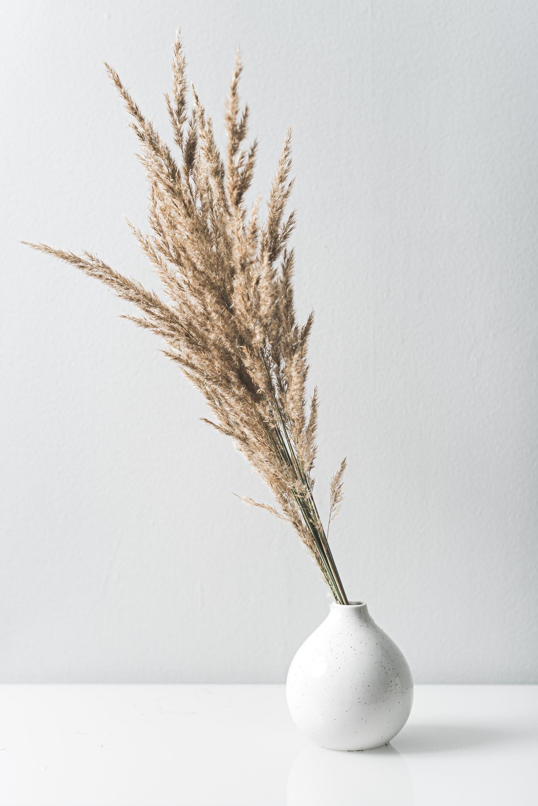 Pampas Vase