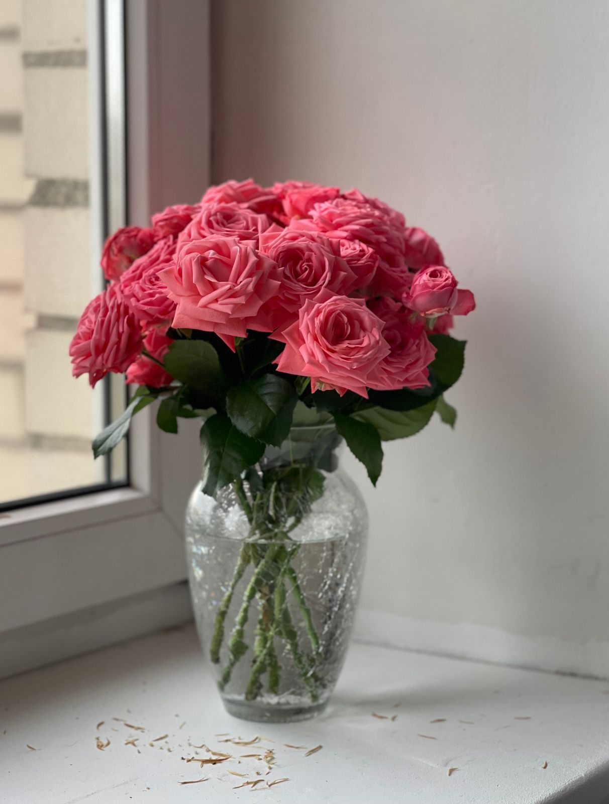 Pink in a Vase