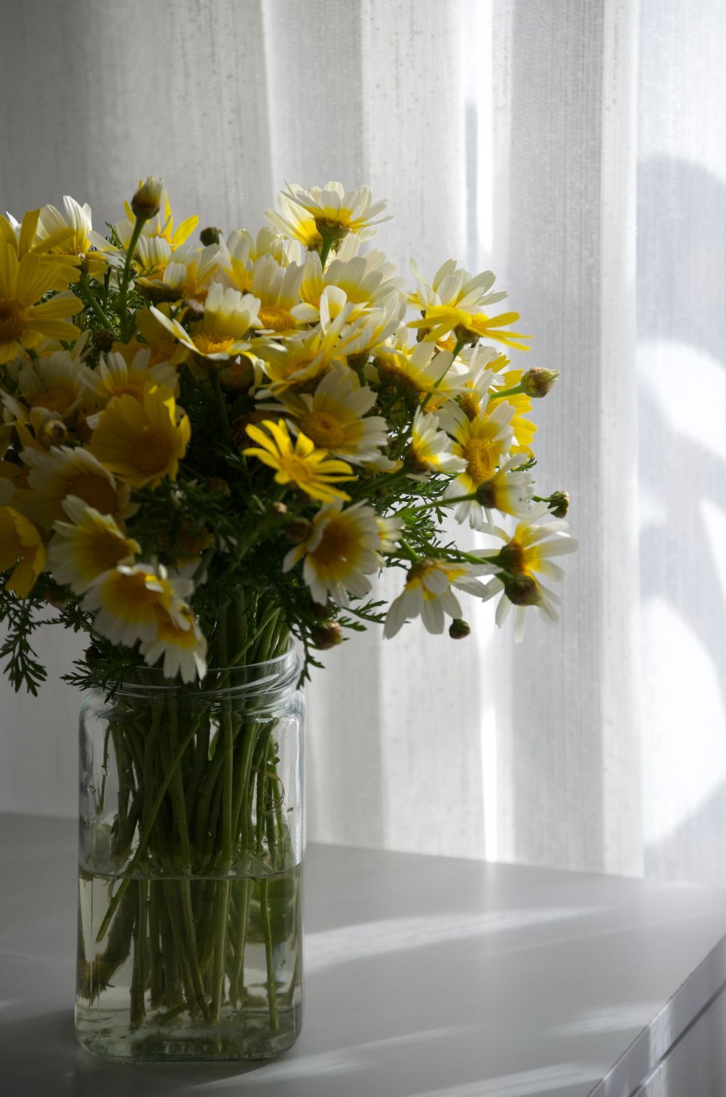 Yellow Daisy Jar