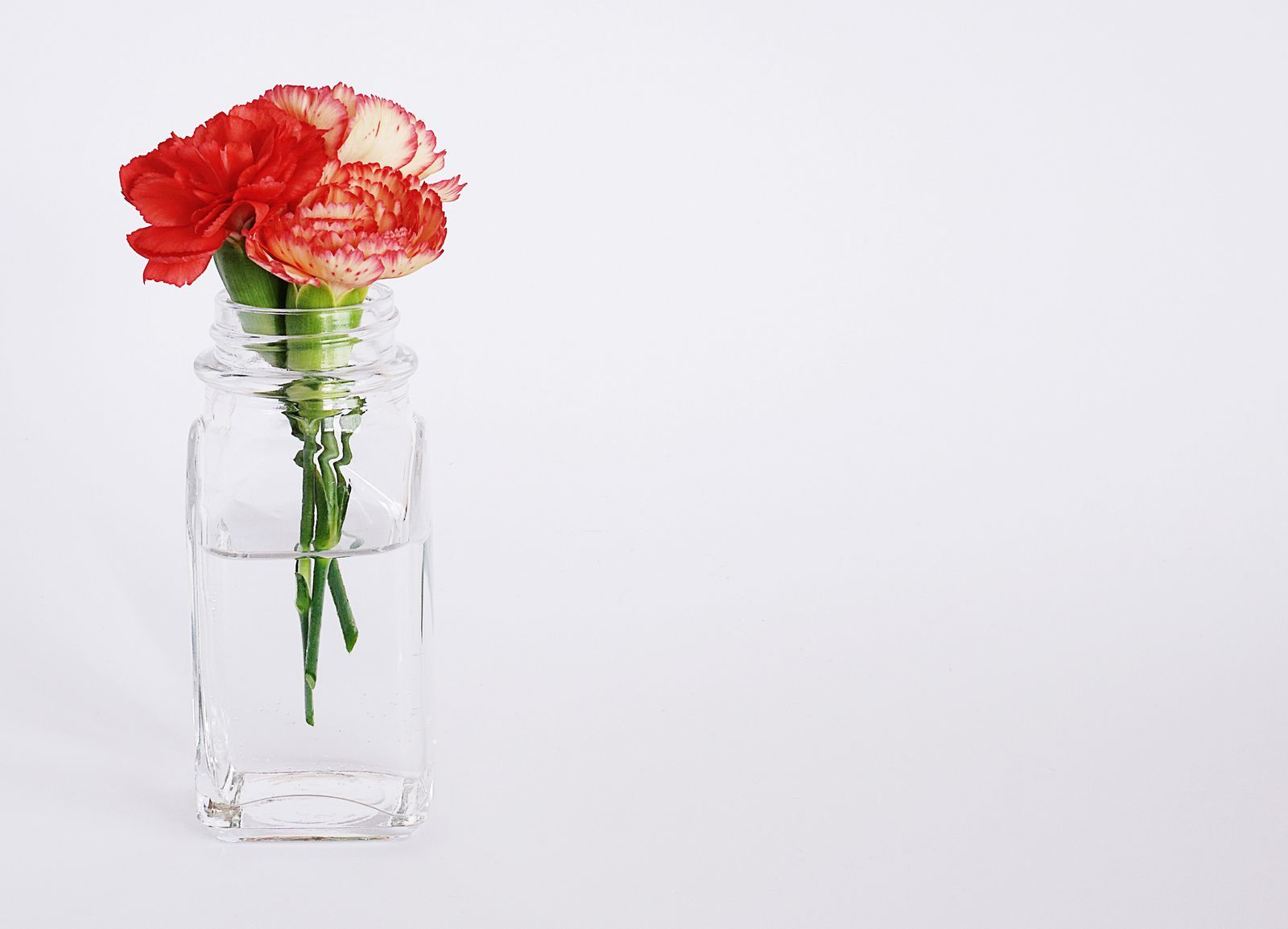 A red carnation in a small glass jar