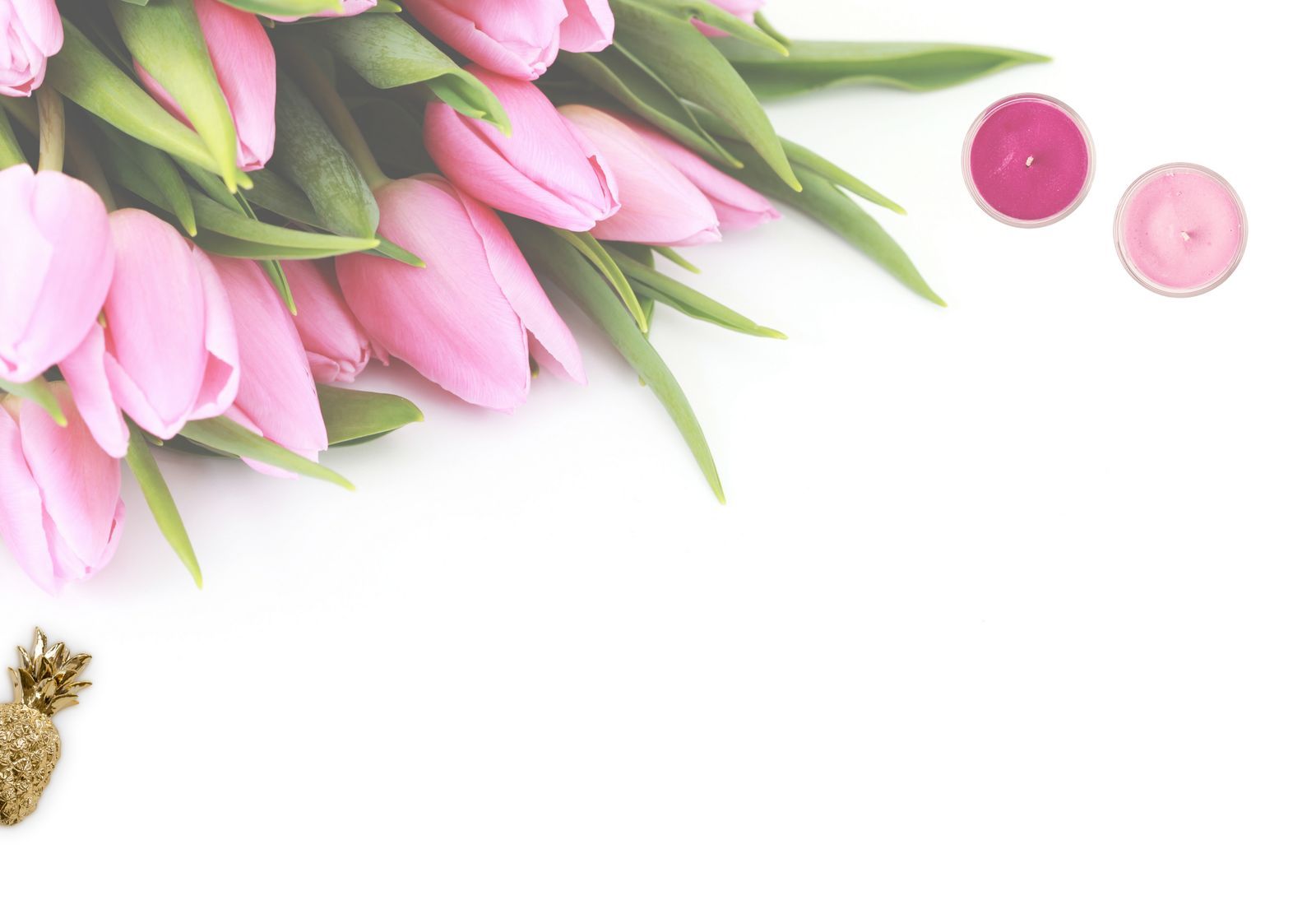 Pink tulips on a white table