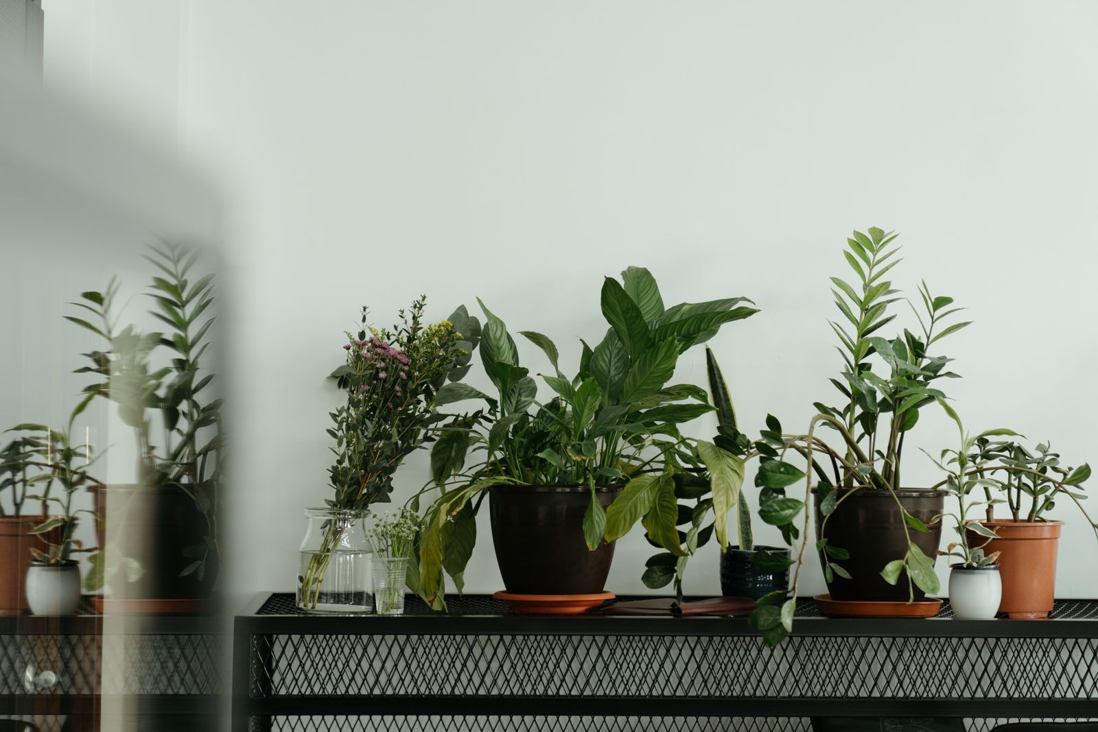 House plants and a jar of wildflowers on a black metal console